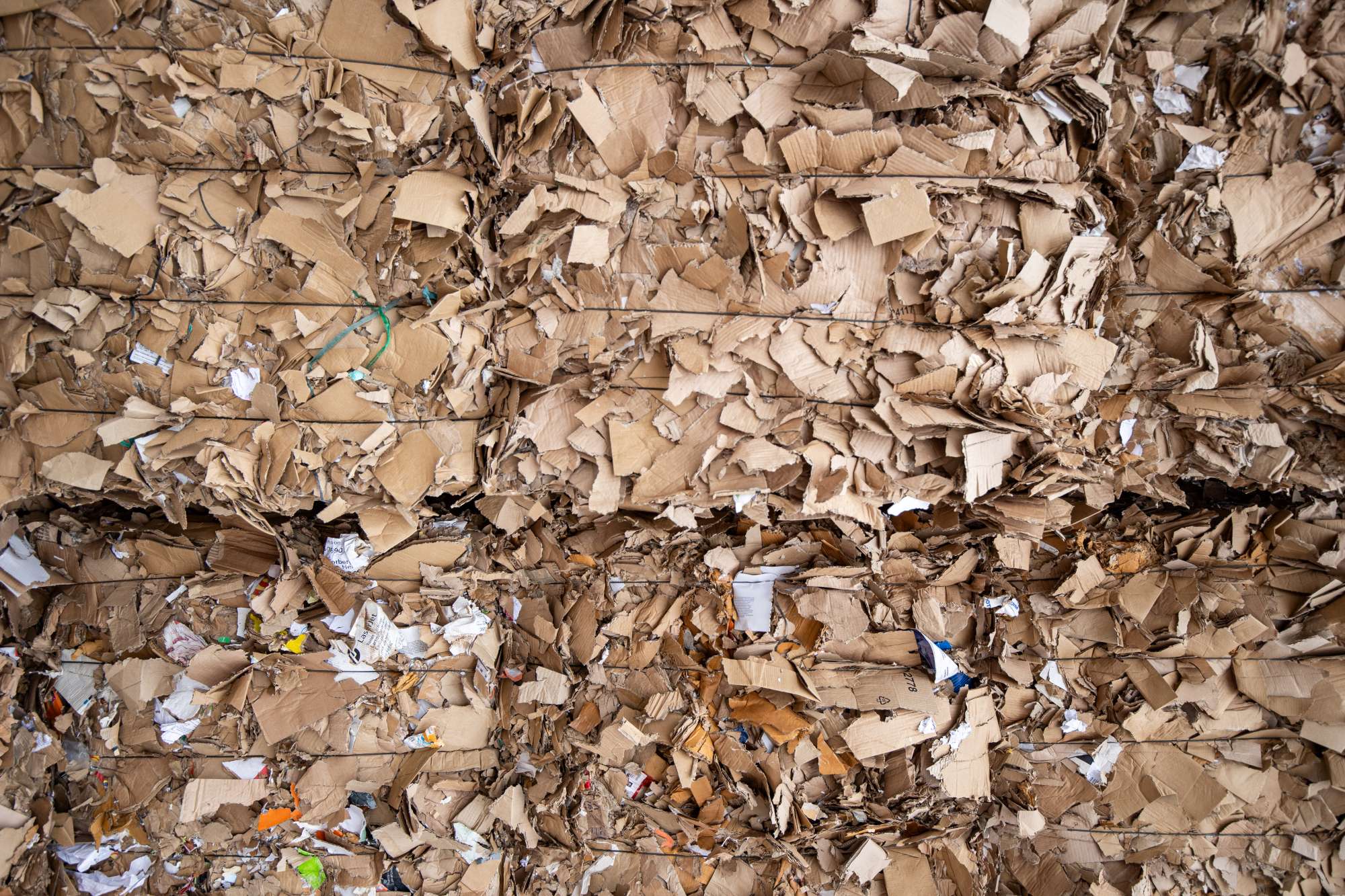 cardboard_07